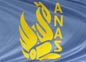 bandier51