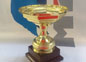 coppa12