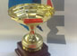 coppa13