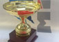 coppa14