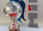 coppa15
