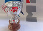 coppa16