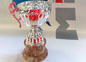 coppa17