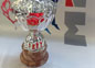 coppa18
